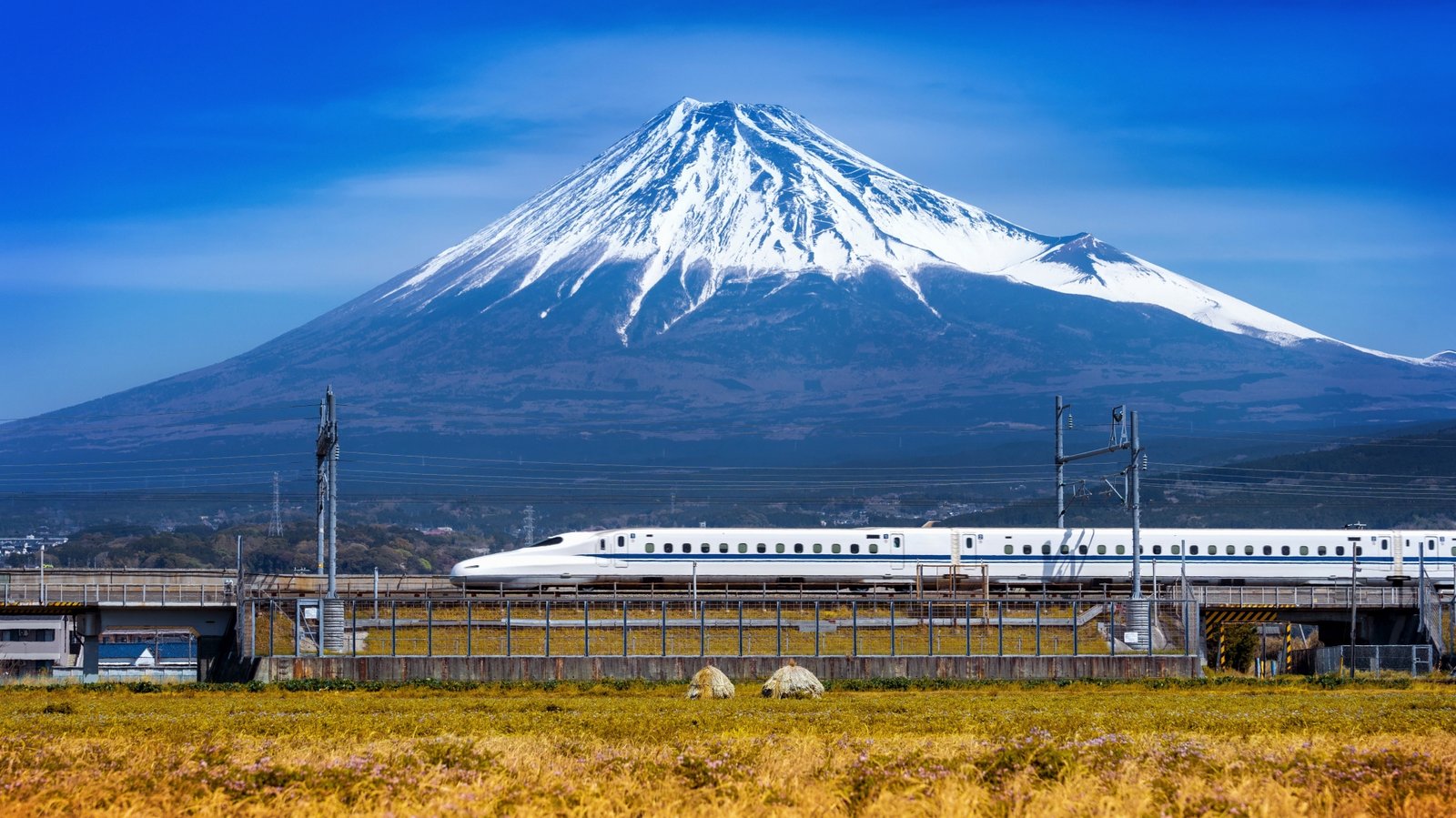 Shinkansen Japan high speed bullet train mount fuji backdrop